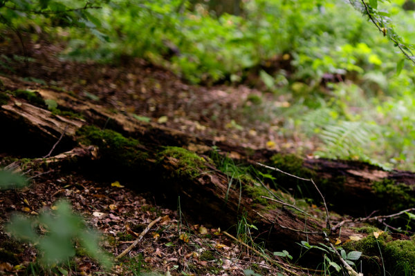 Repair-Café Kahlgrund Termine: 4. Juli 2026 in Pfarrheim Krombach, Schulberg 8, 63829 Krombach